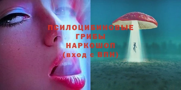 гидропоника Михайловка