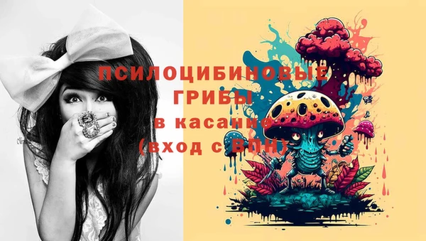 гидропоника Михайловка