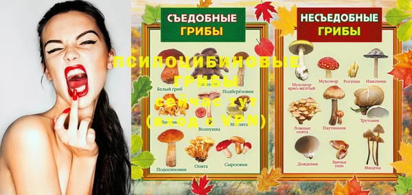 дмт Абдулино