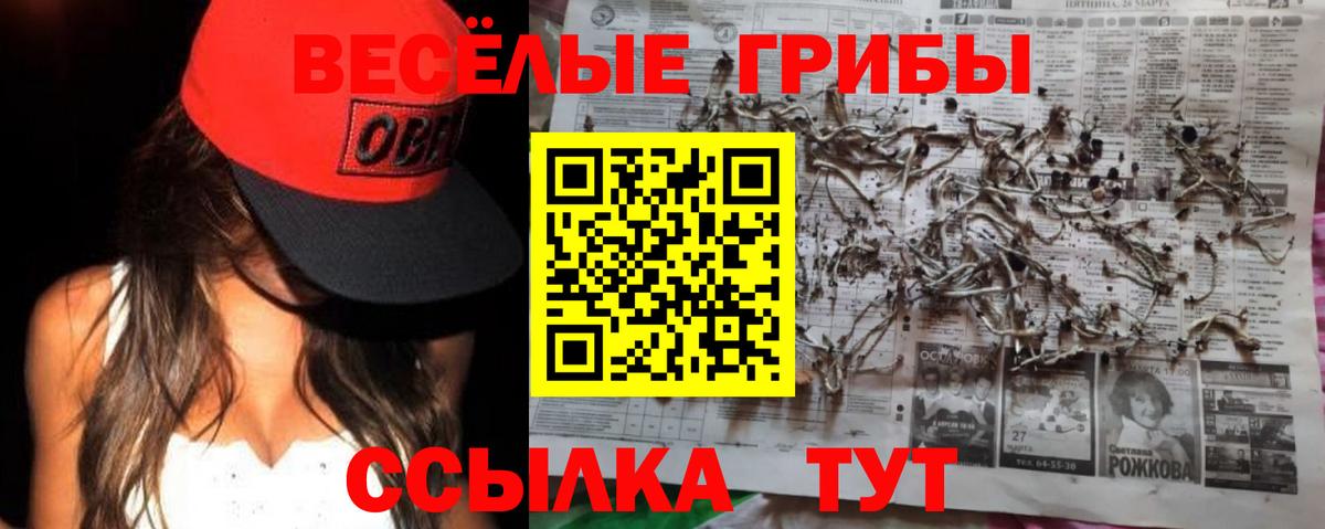 Псилоцибиновые грибы GOLDEN TEACHER Химки
