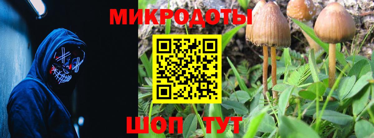 Химки  где продают   Вход с VPN  Галлюциногенные грибы Magic Shrooms  Псилоцибиновые грибы Psilocybe 